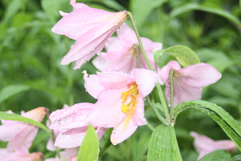 2013.7.16 029.JPG