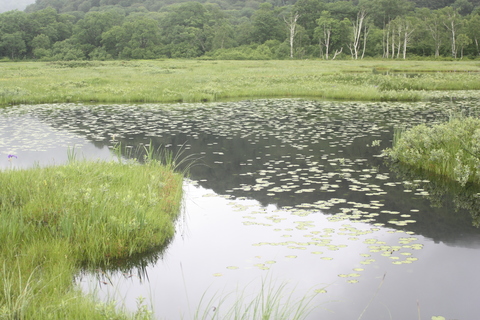 2013.7.16 297.JPG