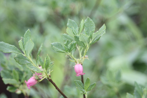 2013.7.16 299.JPG