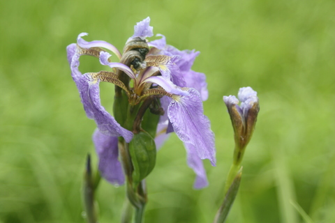 2013.7.16 313.JPG