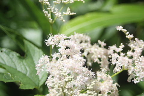 2013.7.16 330.JPG