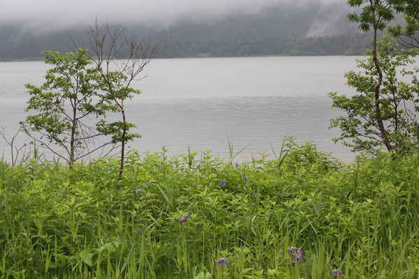 2013.7.16 021.JPG