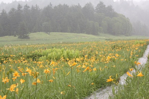 2013.7.16 054.JPG