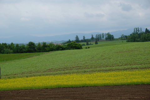 2017.6 北海道 348.JPG