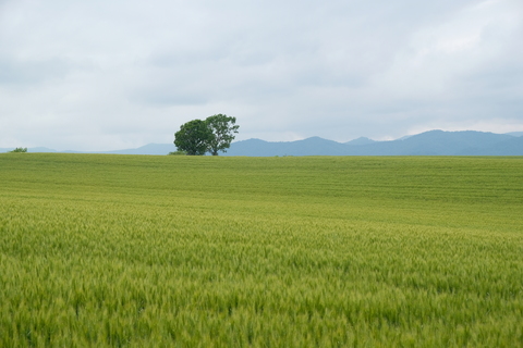 2017.6 北海道 360.JPG